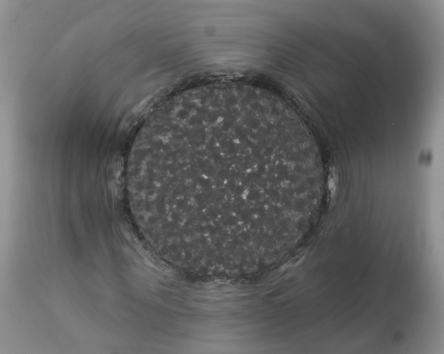 X0000113060867200909110913