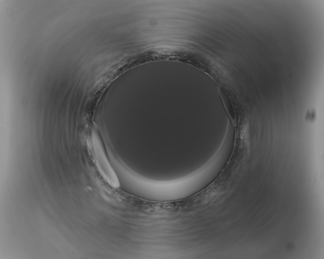 X0000113060868200909110913