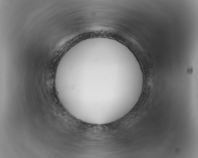 X0000113060869200909110913