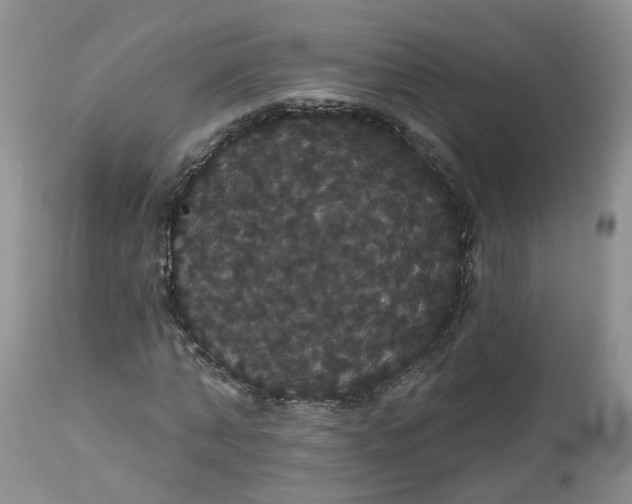 X0000113060870200909110912