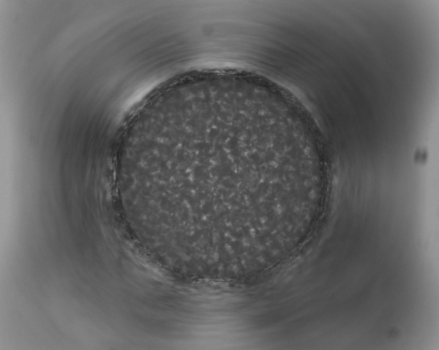 X0000113060871200909110912