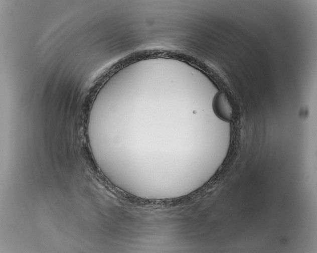 X0000113060872200909110912