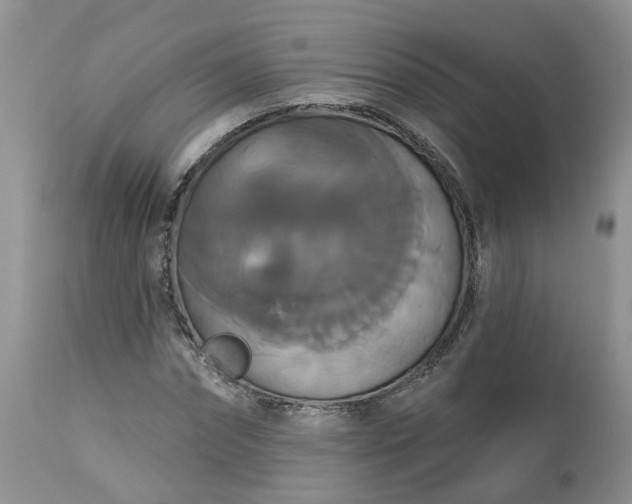 X0000113060874200909110912