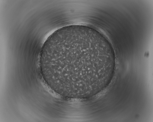 X0000113060875200909110912