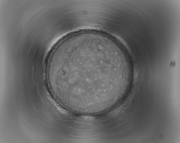 X0000113060878200909110912