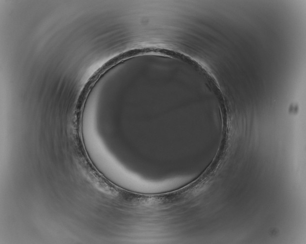 X0000113060879200909110912