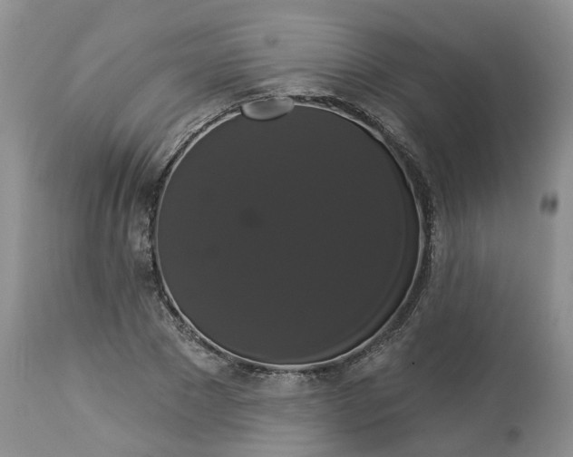 X0000113060881200909110912