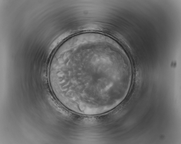 X0000113060882200909110912