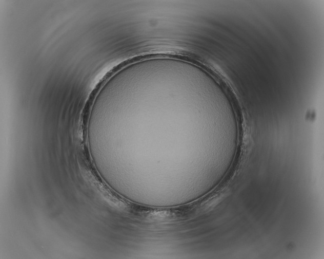 X0000113060883200909110912
