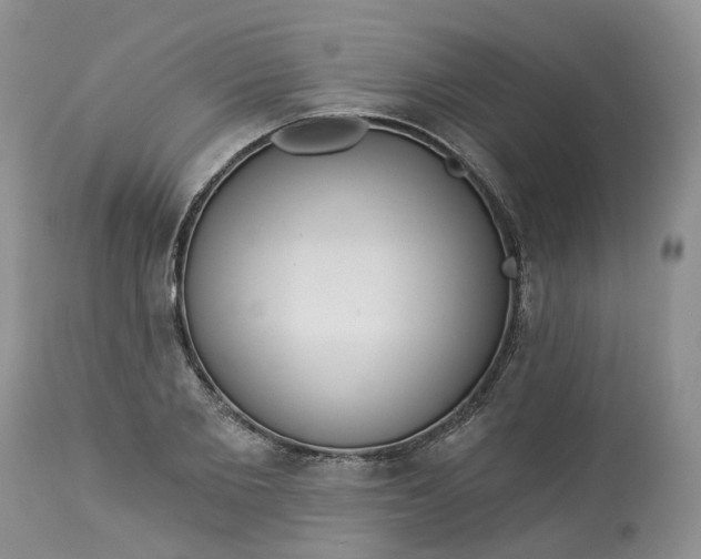 X0000113060885200909110912