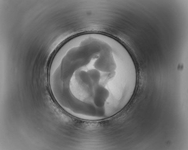 X0000113060886200909110912