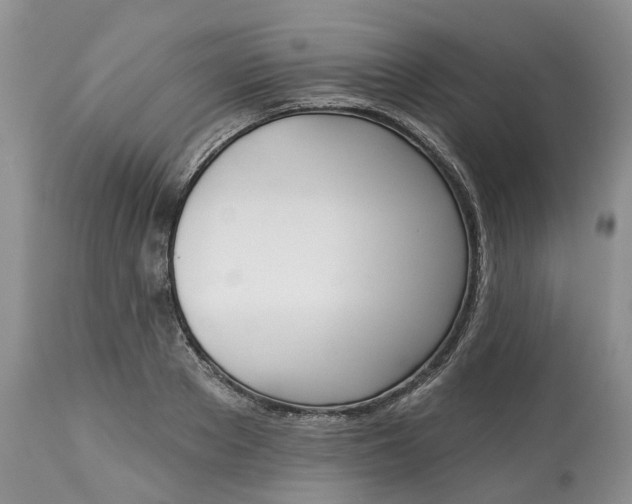 X0000113060889200909110912