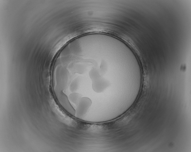 X0000113060890200909110912