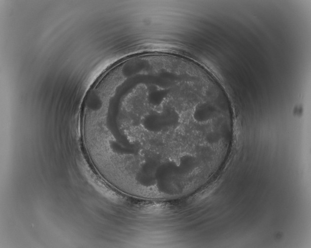X0000113060891200909110912
