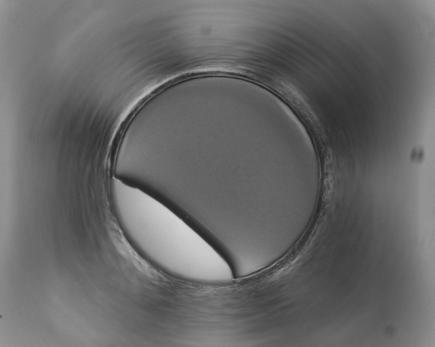 X0000113060892200909110912