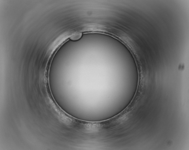 X0000113060893200909110912