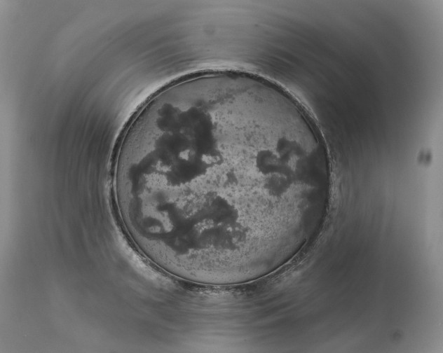 X0000113060895200909110912