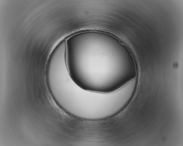X0000113060896200909110912