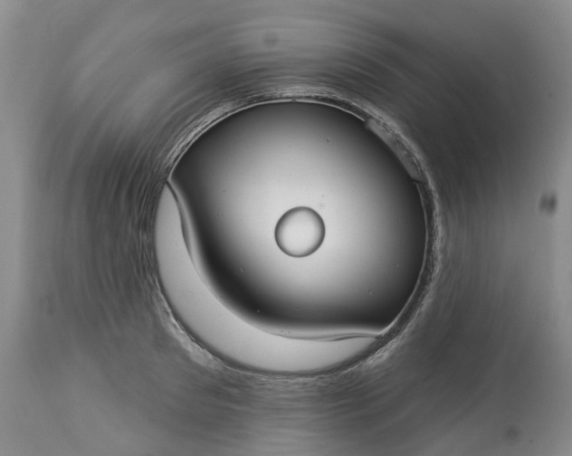 X0000113060897200909110912