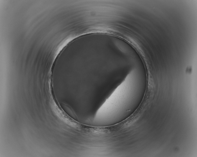X0000113060899200909110912