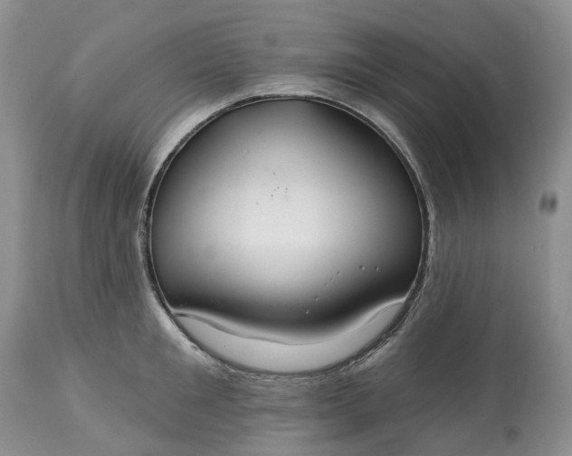 X0000113060901200909110912