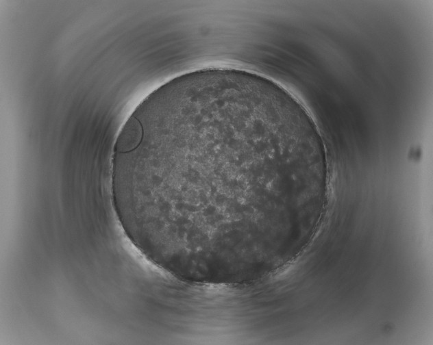 X0000113060903200909110912
