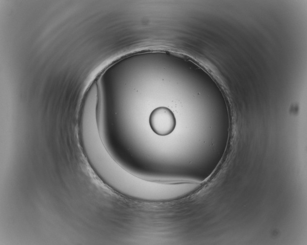 X0000113060904200909110912