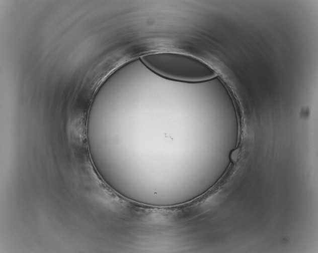 X0000113060905200909110912