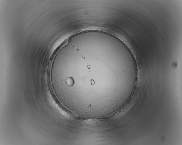 X0000113060906200909110912