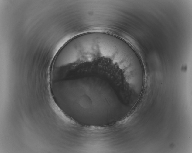 X0000113060907200909110912