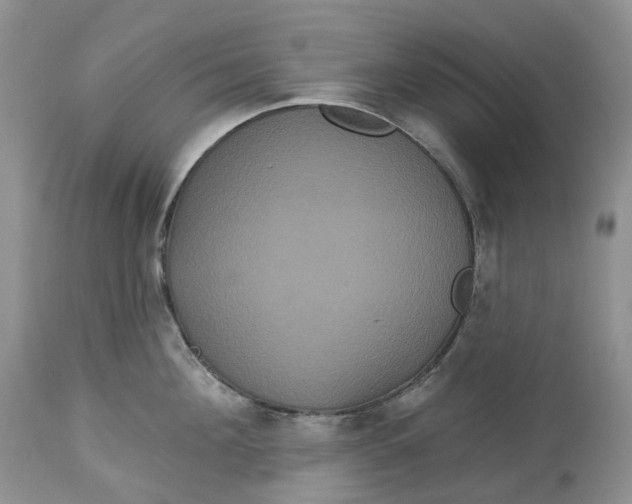 X0000113060908200909110911
