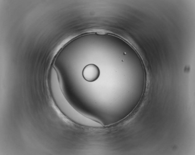 X0000113060909200909110911