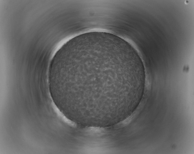 X0000113060910200909110911