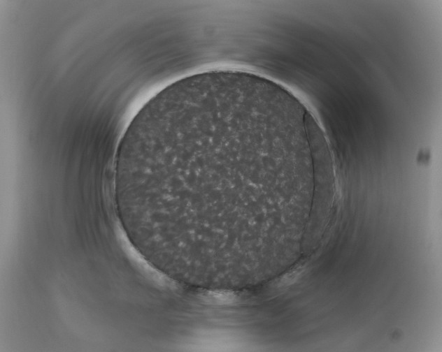 X0000113060911200909110911