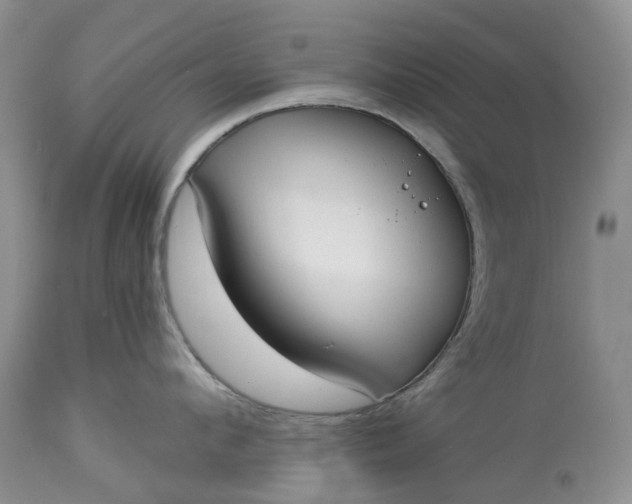 X0000113060912200909110911