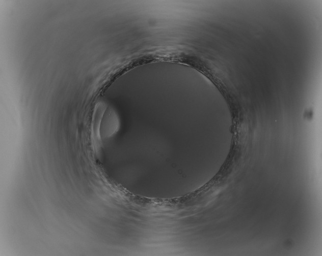X0000113060913200909110910