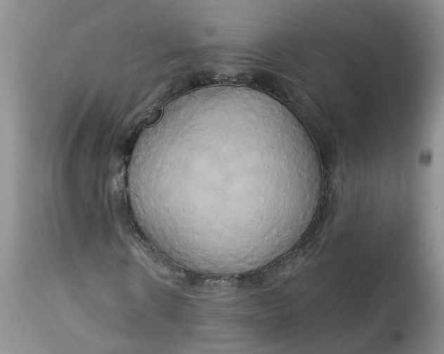 X0000113060914200909110910