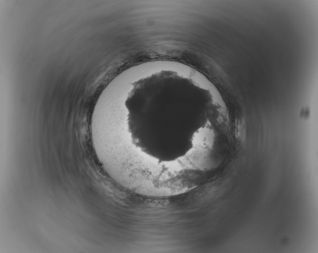 X0000113060915200909110910