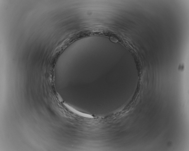 X0000113060916200909110910