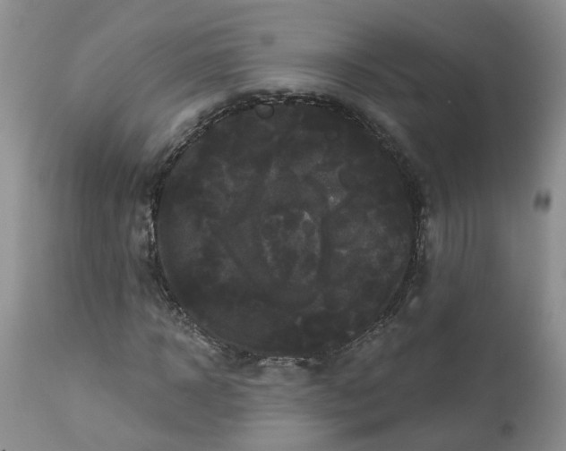 X0000113060918200909110911