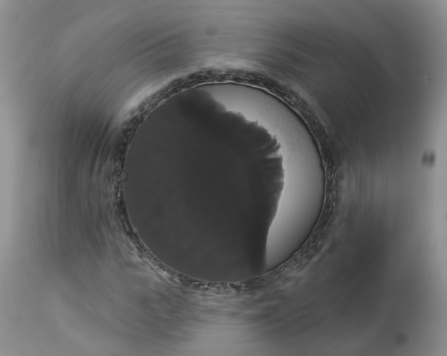 X0000113060919200909110911
