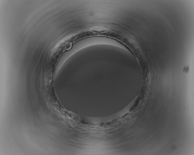X0000113060920200909110911