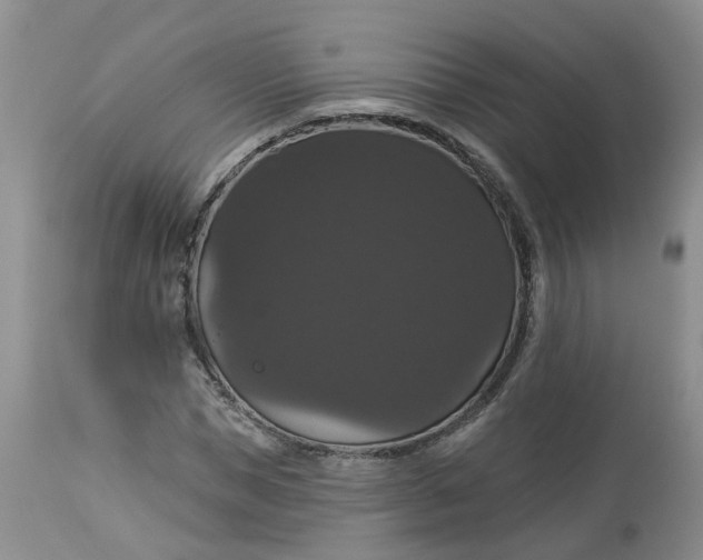 X0000113060921200909110911