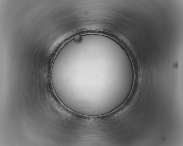 X0000113060922200909110911