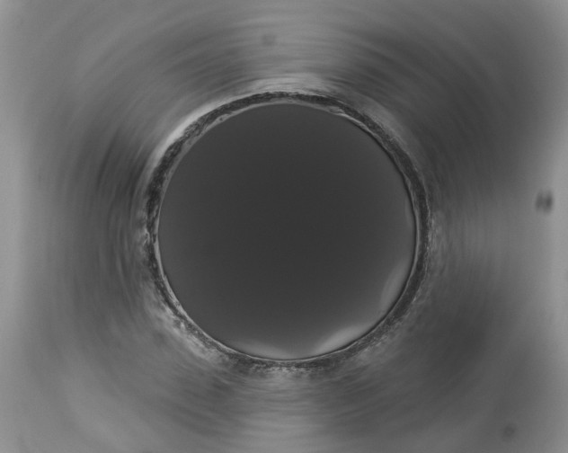 X0000113060923200909110911