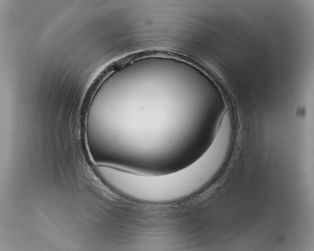 X0000113060924200909110911