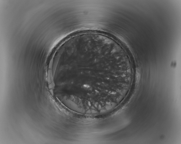 X0000113060925200909110911