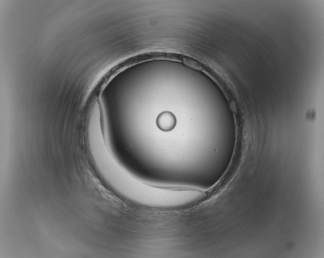 X0000113060926200909110911