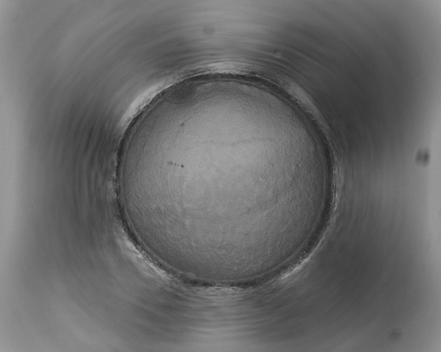 X0000113060930200909110911