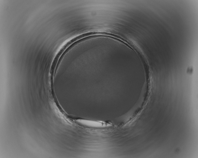 X0000113060932200909110911